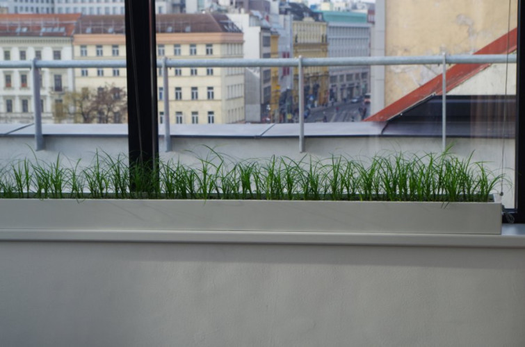 Lange Blumentöpfe auf der Fensterbank