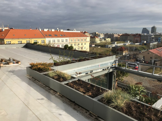 Terrasse mit Blumentöpfen in der Innenstadt