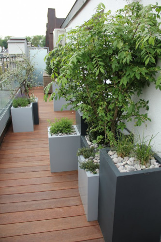 Blumentöpfe auf der Terrasse