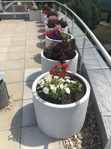 eine ganze Reihe interessanter Blumenkübel