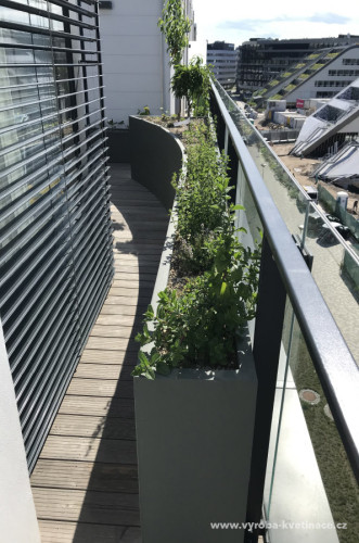 Blumentopf als der Wandschirm auf der Terrasse